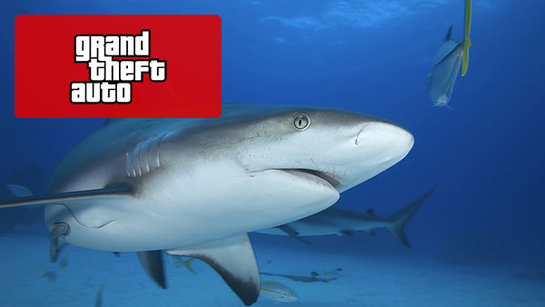 gta shark cards